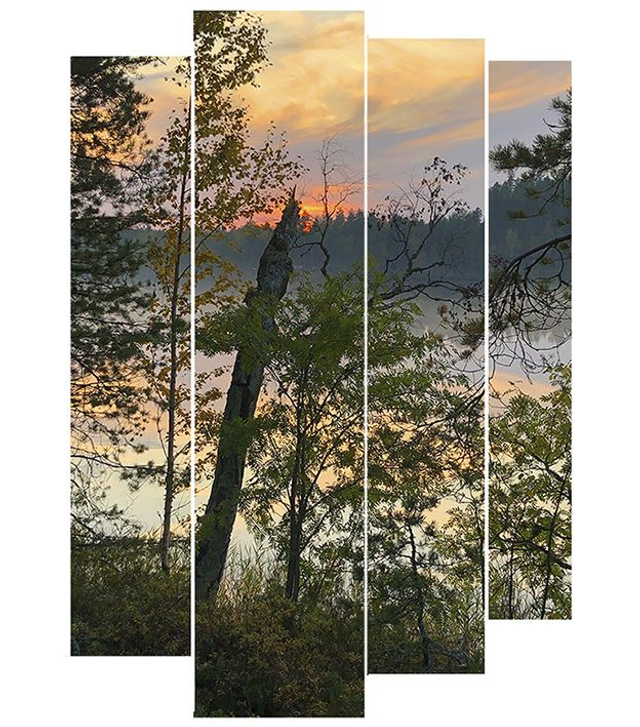 Palataulu rantakasveja auringonlaskussa