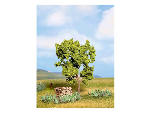 poirier 11,5cm Noch 21600