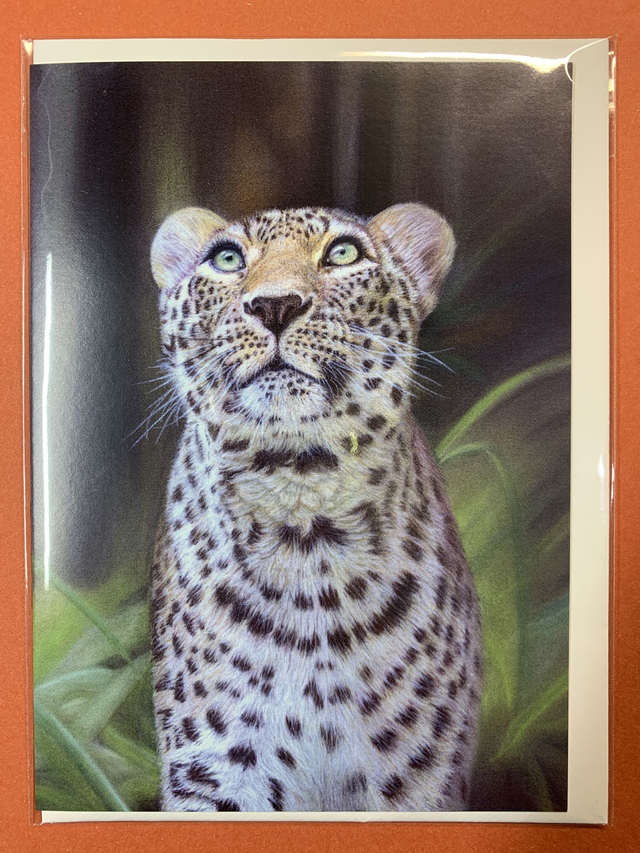 Greetings Card - Persian Leopard - Blank Inside