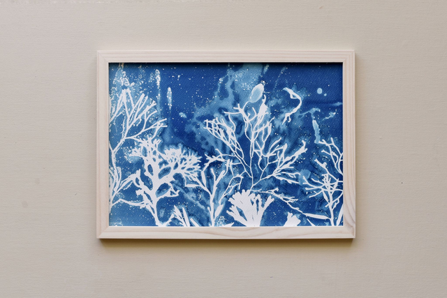 Algae - Vita aquatica 2.0 - A4