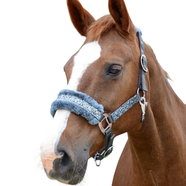 HY Dazzle Head Collar - Grey