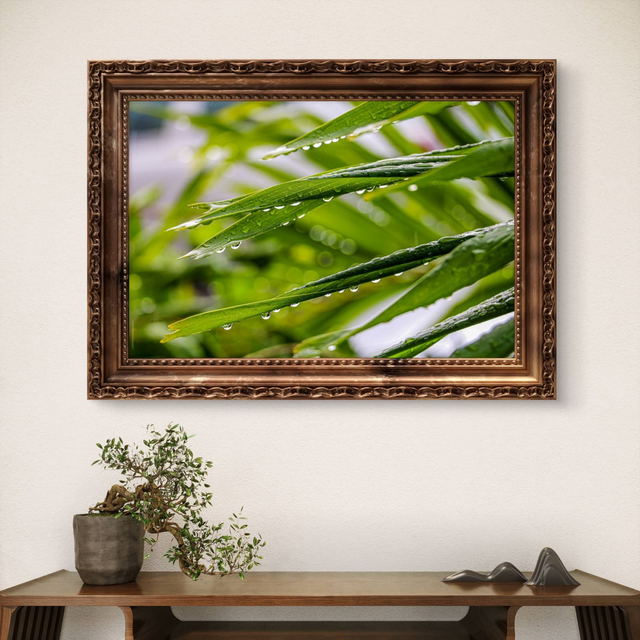 Flowers - Raindrops on Leaves - Print Only 