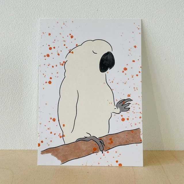 Ansichtkaart kaketoe, 10 x 15 cm