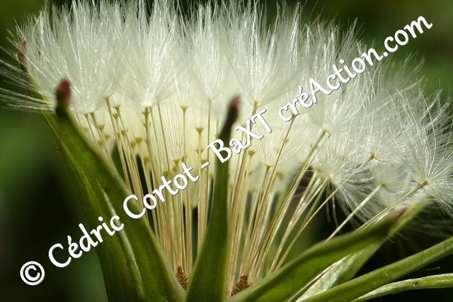 Impression sur alu dibond - Paysages et divers (ref 100_1268)