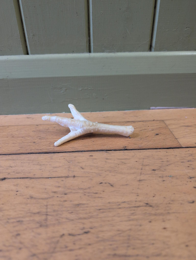 Chicken Foot (puffed)