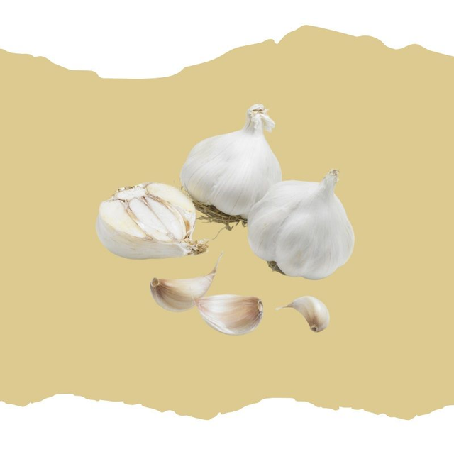 Ail Rose Clédor BIO