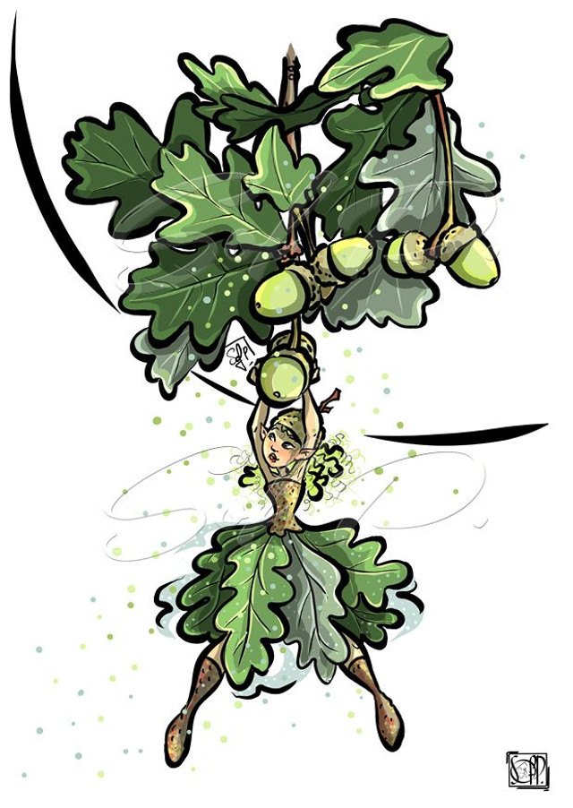 FEES DES JARDINS-chêne