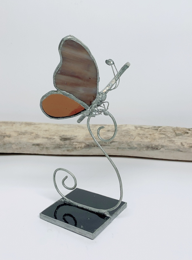 Papillon Marron Foncé