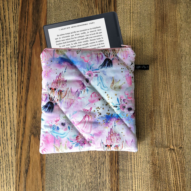 Pochette zippée pour liseuse : Disneyland Parc d'attractions format XL