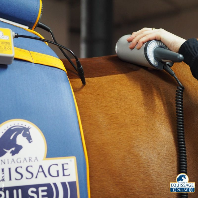 Niagara Equissage Pulse