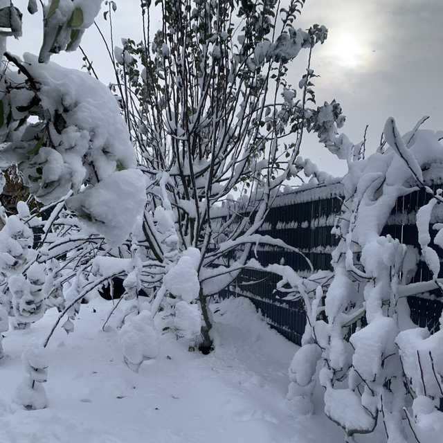 ABONNEMENTS JANVIER À JUIN 2024