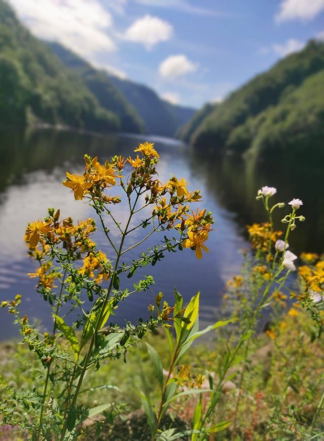 Journée aventure "KAYAK &amp; BBQ"  : PLACE ENFANT (- 5ANS)  pour le JEUDI 22 AOUT 2024 