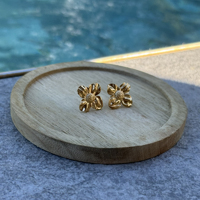 Boucle d’oreille Orlane 