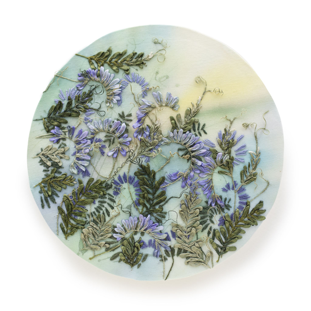 BIRD VETCH | Botanical Study