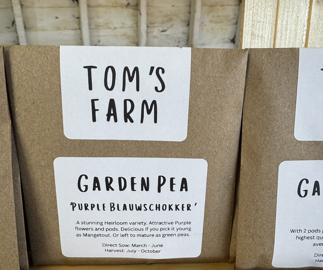 Garden Pea Purple Blauwschokker