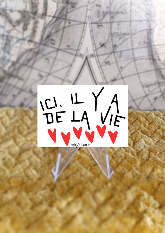 MAGNET "ICI, IL Y A DE LA VIE"