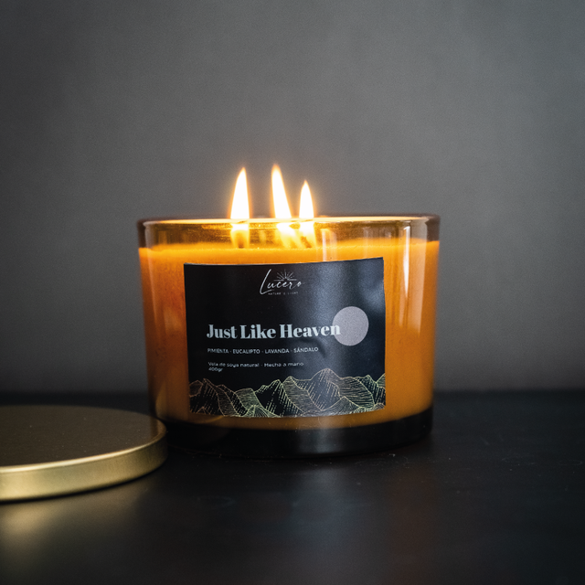 Just Like Heaven / Masculino - Maderoso‑ Floral