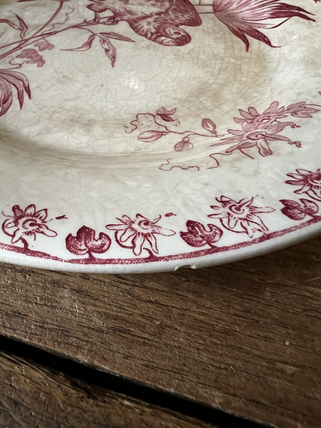 ** LOT RESERVE ** PERRUCHE - Lot de 2 assiettes à dessert signées Gien - Terre de Fer