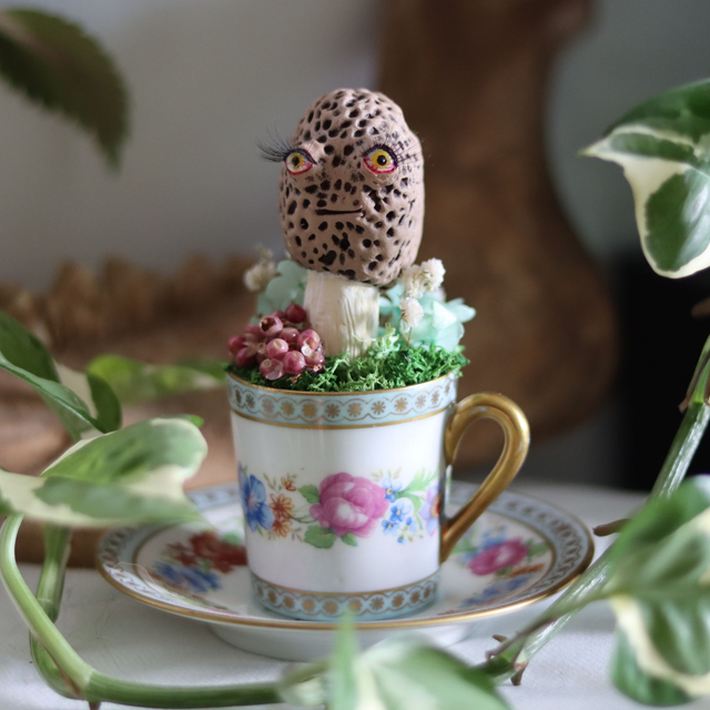 Gaspard, morille à l'expression délicieusement maladroite