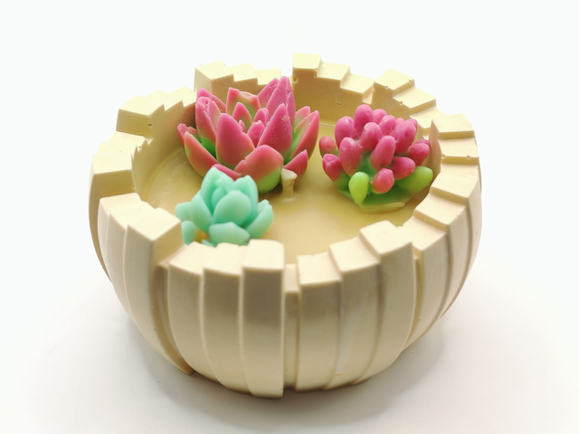 Bougie “Jardin de Cactus” – Patchouli