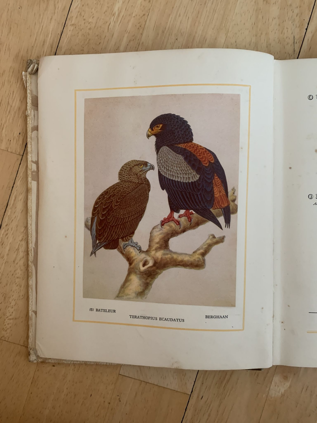 Our South African Birds Cigarette Cards Book Complete