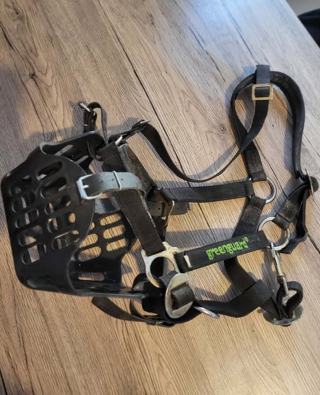 Panier Greenuard avec licol