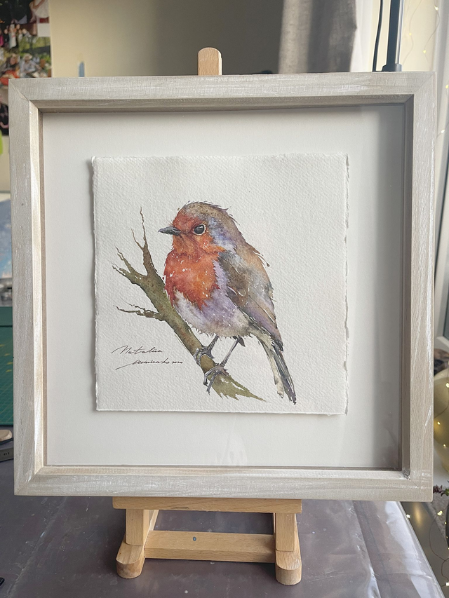 Robin bird №4. Original watercolour painting in frame