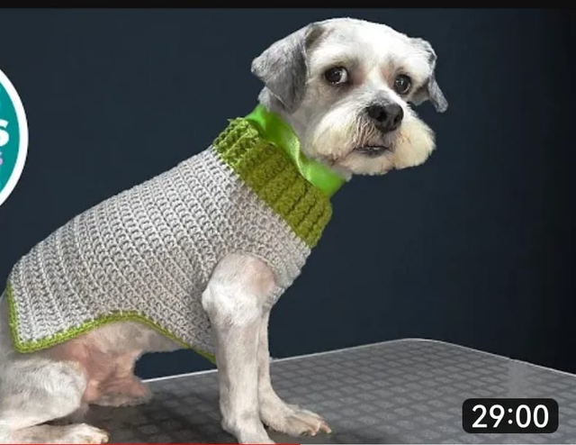 Crochet jacket different Colorful 