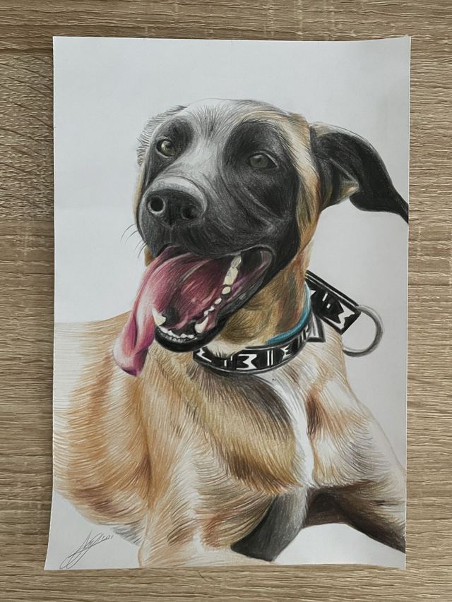 ♡ Portrait A5 couleurs