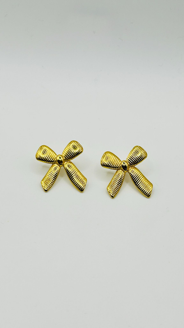 Stainless Steel Earrings (SSE71J)