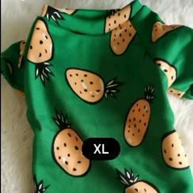 Green pineapple print sweatshirt