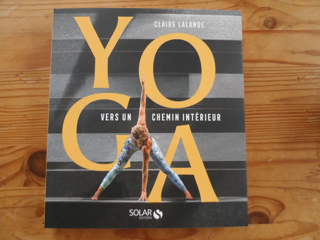 Yoga, vers un chemin intérieur