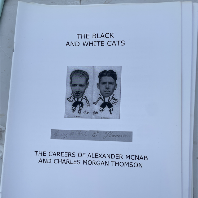 The Black and White Cats