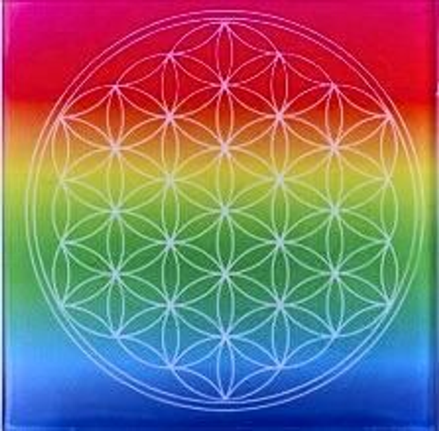 Energetic-Untersetzer  _ IAM _ Dein Schlüssel zu mehr Vitalität!