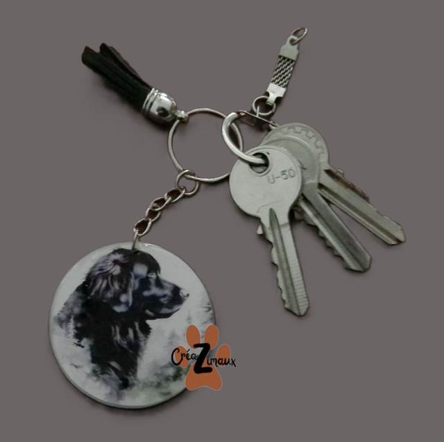 Porte clé Terre neuve