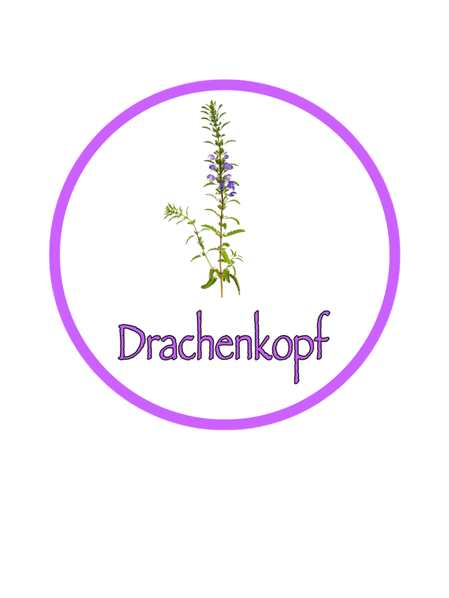 BIO Kräuterpellets Drachenkopf