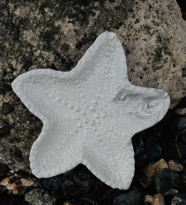 Plateau TRITON