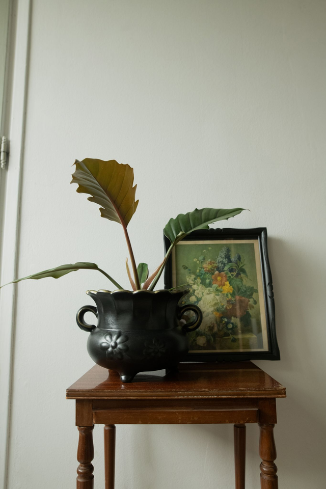 Botanical Witch 🌒 Cache-pot upcyclé