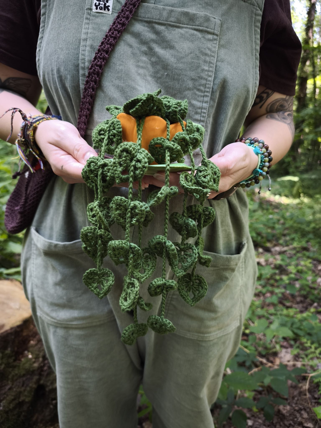 Plante feuilles de coeur et tasse de thé 