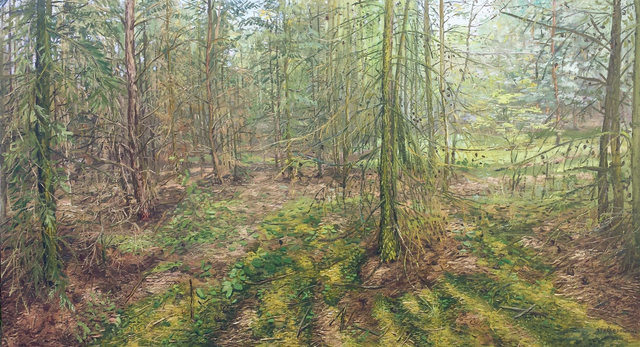 W modrzewiowym lesie, 95x175 olej płótno 2016
