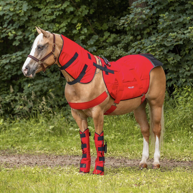 BIOS Decke + Gamaschen Pferd