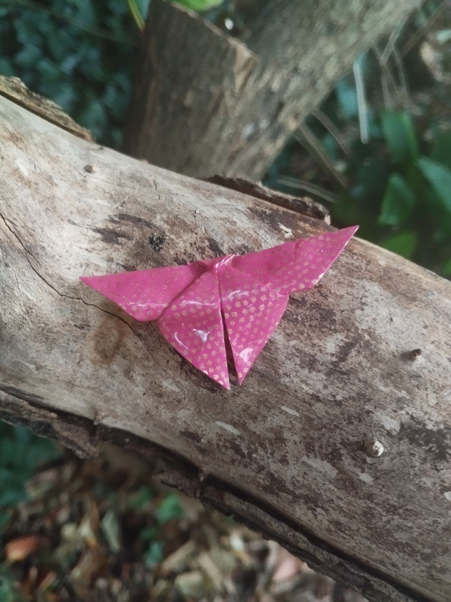 Broche en forme de papillon de couleur fuchsia et à pois dorés
