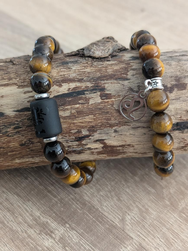 Lion - Oeil de tigre 