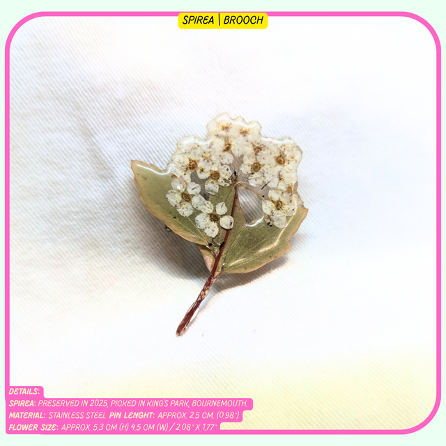 Full Foliage Brooches | Real Plants & Flowers