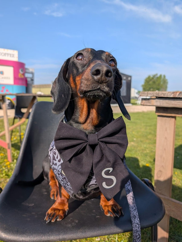 Monogrammed cotton sailor bow