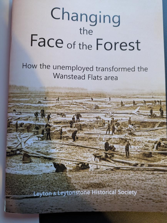 2nd class post Changing the Face of the Forest