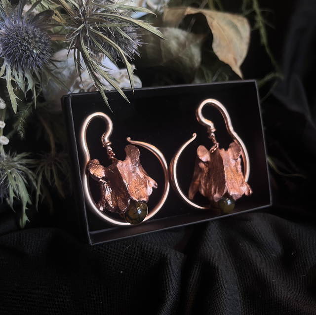 Vulpes Venae (Fox of the Veins)