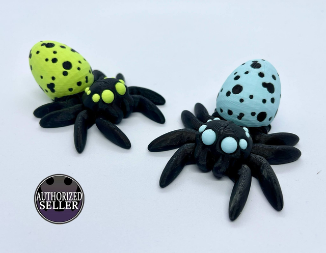 Tiny Egg Spider