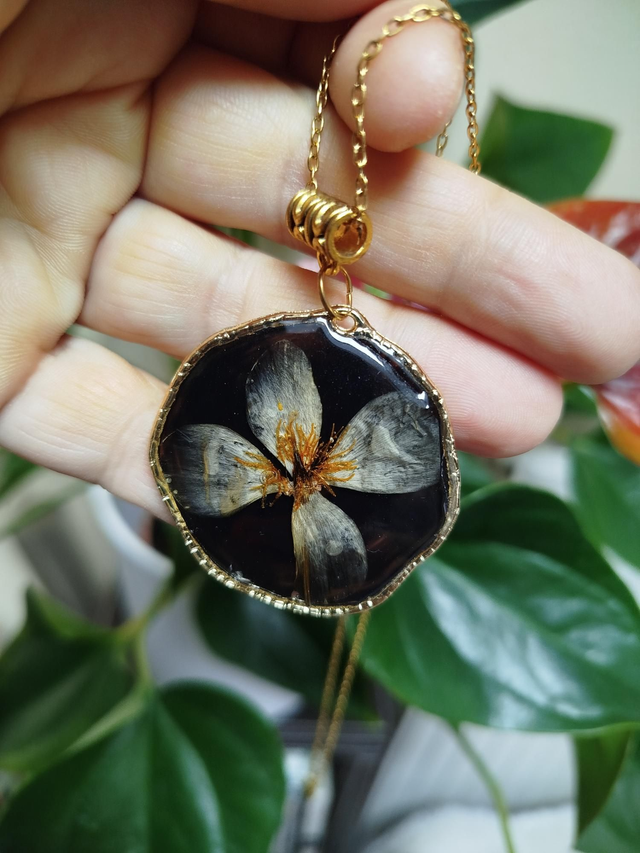 Soleil Noir