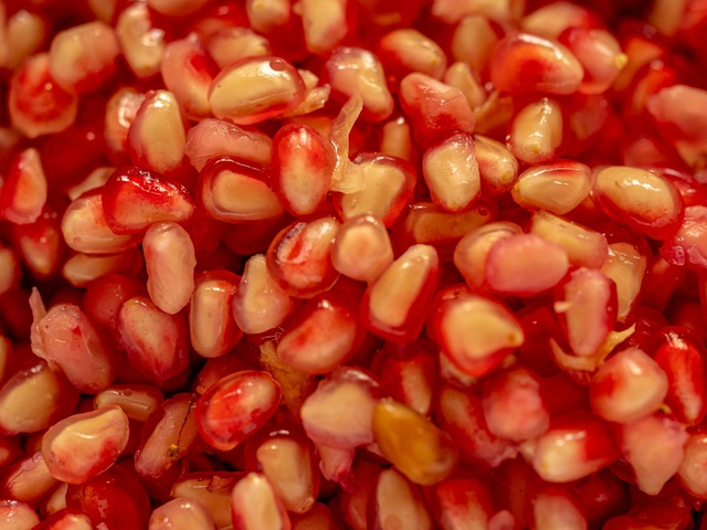 Baked Bean Tin Donation